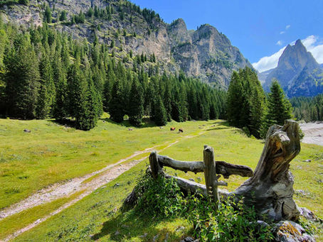 L'alpeggio della Tschamin Tal