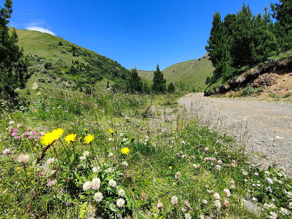 Val di Fassa