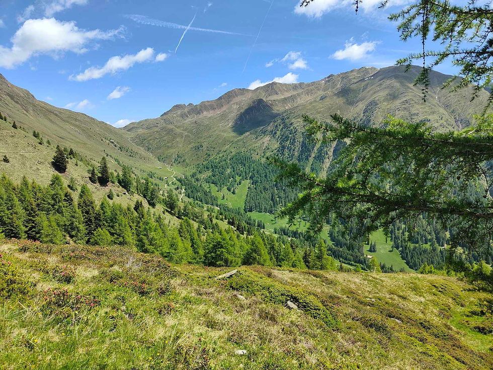 Val Casies