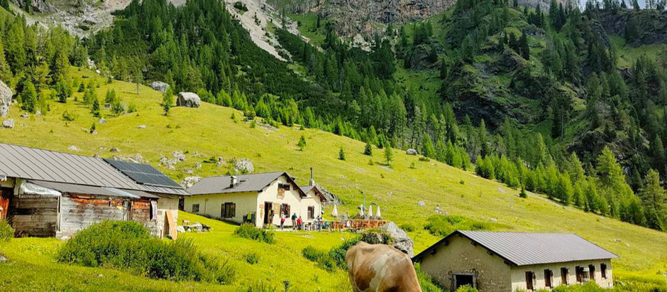 Racconti autentici nelle malghe delle Dolomiti: un viaggio lento tra Natura e memoria