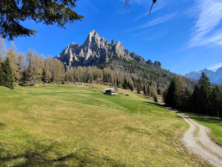 Tra i Prati del Cimerlo.