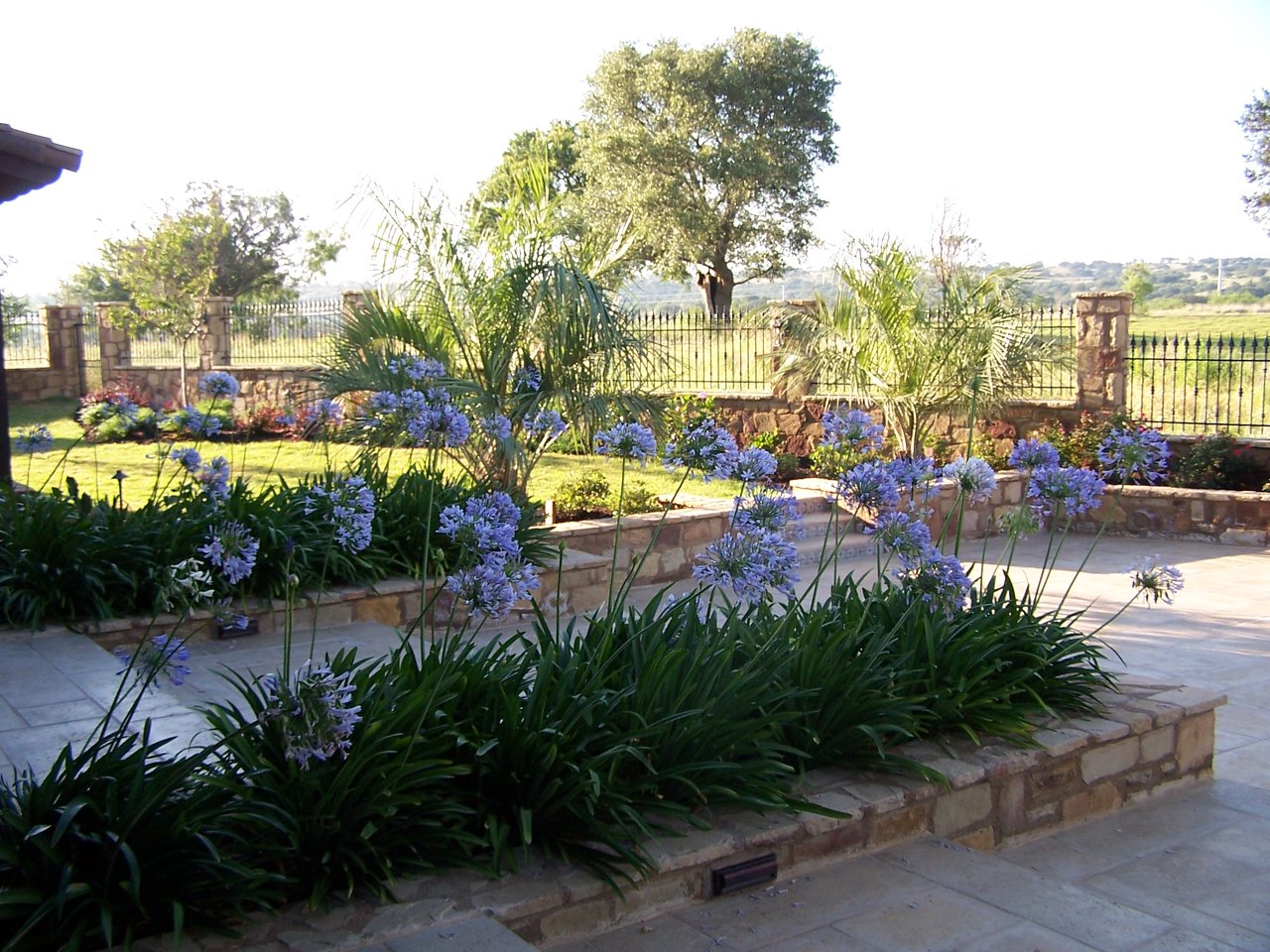 JXC Landscaping Escondido TX