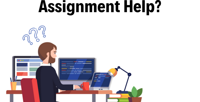 Where do I get the best Python assignment help?
