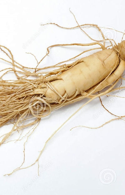 ginseng_edited.jpg