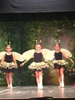 11692620_848595028550724_1743429405908033155_n