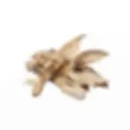 zdjęcia na strone_4.webp