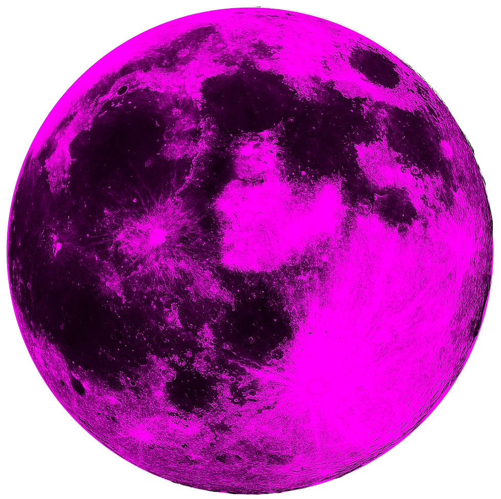 Fuchsia Moon_Hill