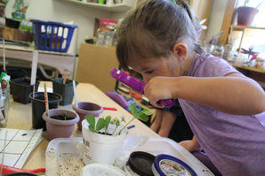 Yoga, making words, plant observations