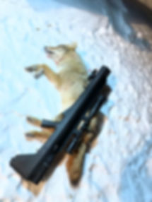 image2.jpeg