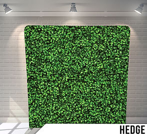 Hedge.jpg
