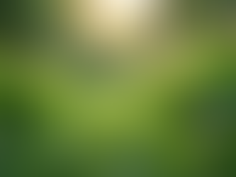 The Importance of Sustainable Living in Today's World
