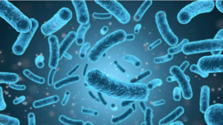 O que é o supercrescimento bacteriano?