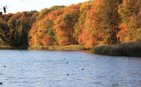 Schlachtensee.jpg