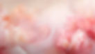 Firefly_7a3b652f-1926-43aa-a854-9558bd1d0037.jpeg