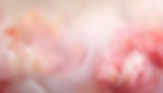 Firefly_7a3b652f-1926-43aa-a854-9558bd1d0037.jpeg