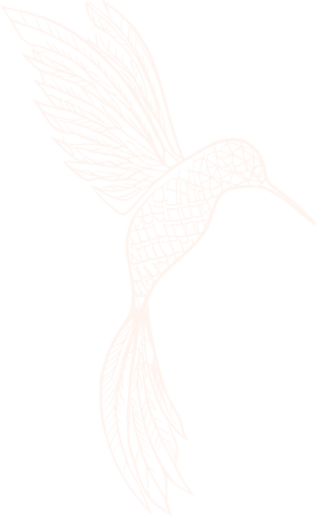 kolibri-zart.png