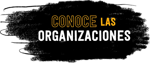 10. Conoce las organizaciones.png