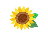 ひまわり.png