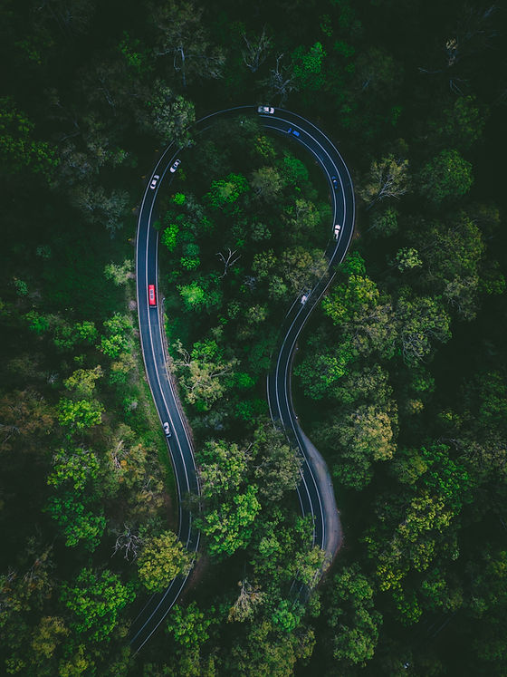 329767-aerial-view-of-winding-road-in-rainforest.jpg