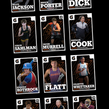 GatoradeNFTThumbnail.png