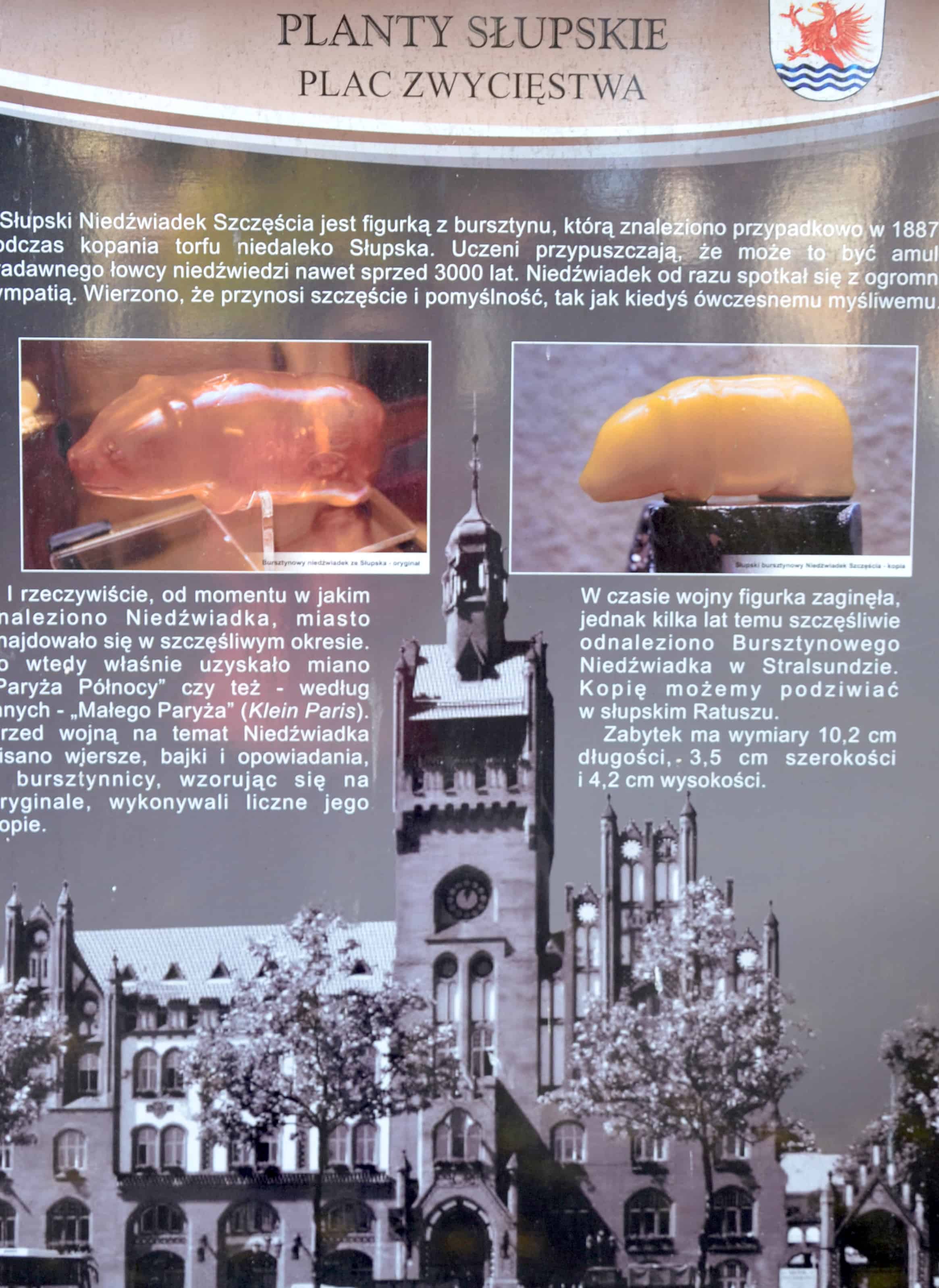 Niedźwiadek szczęścia