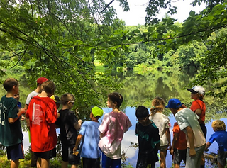 Viewing the Pond