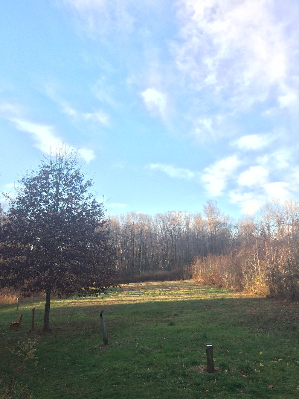 Friday Morning on the Nature Trail