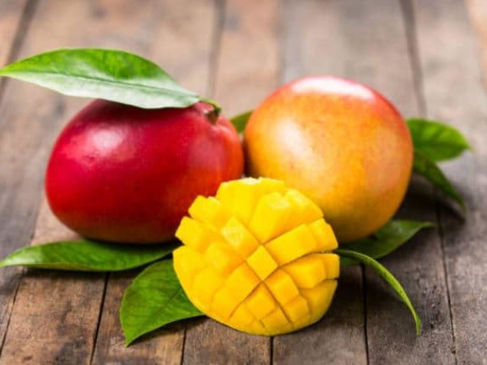 Mangue