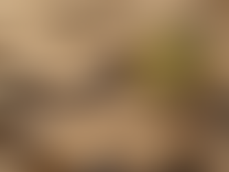 The Impact of Global Conflicts on Cryptocurrency Markets