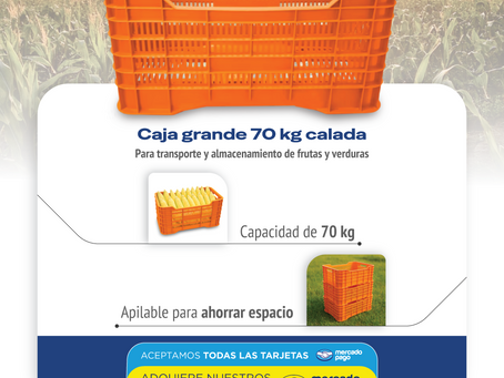 caja agrícola 70 kg, caja calada HDPE, caja grande para fruta, caja plástica apilable, caja agrícola Alebrije, caja logística agrícola