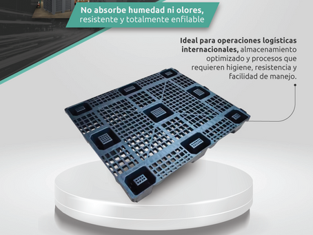 Tarima Plástica Calada Ligera para Exportación