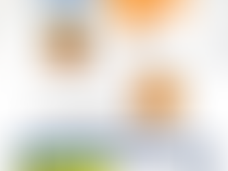 Contenedor MX Calado 250 kg