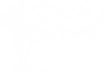 White no background.png