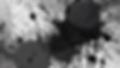 grey and black paint splattered on canvas.jpg