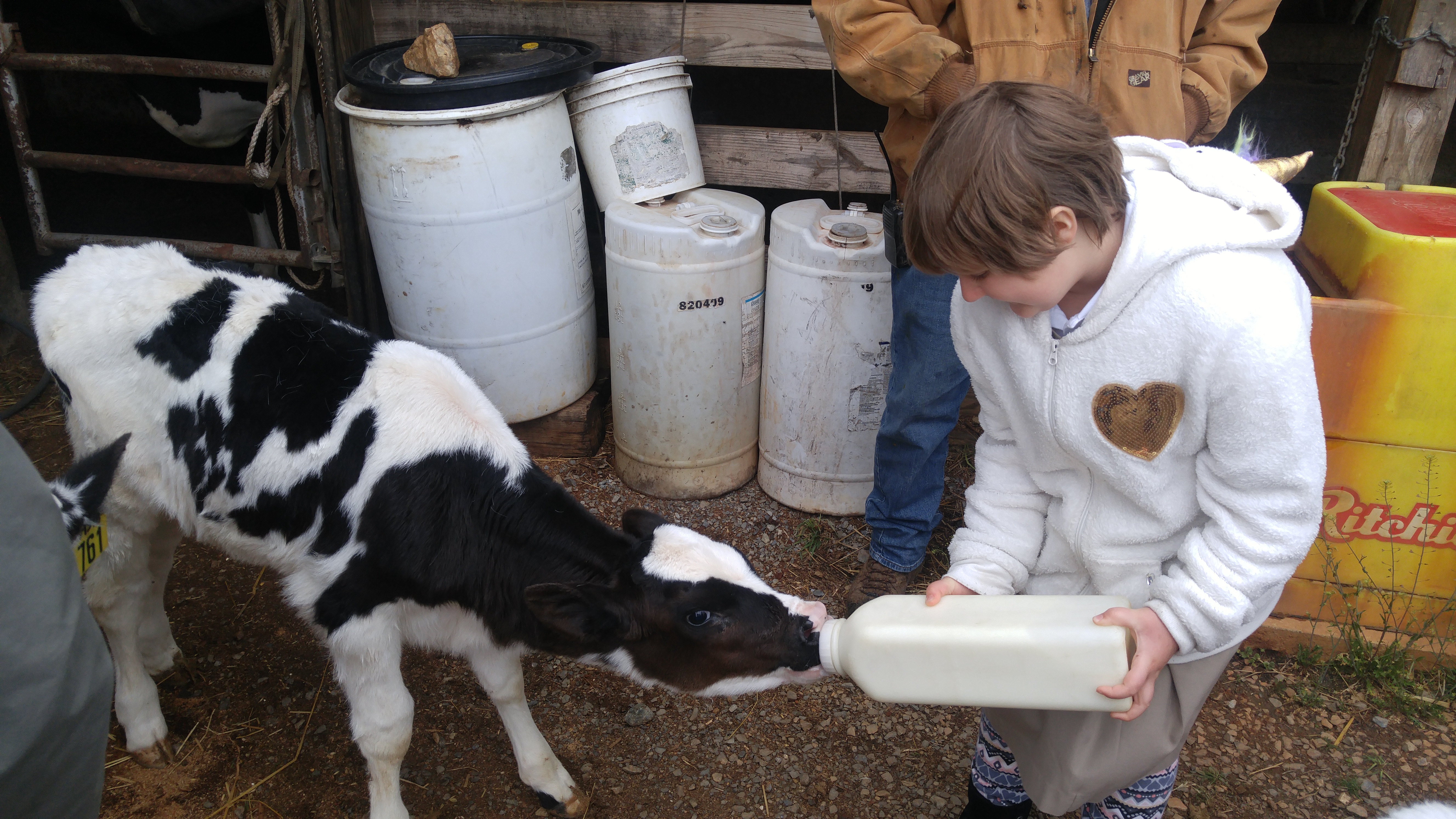 Farm Life