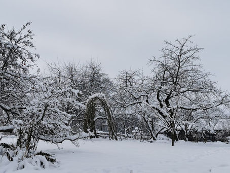 Dovolená přes Vánoce
