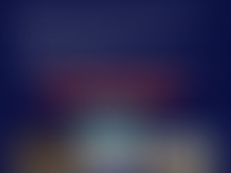 Adventní aukce se chýlí ke konci!