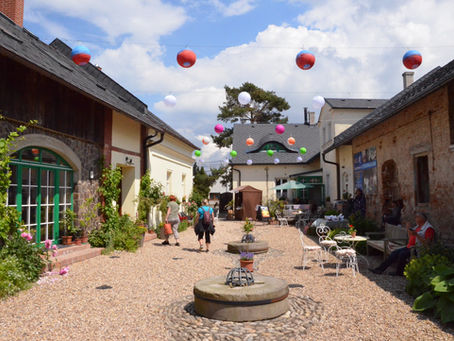 Holos Centrum hledá do svého týmu nového zahradníka a spolehlivou osobu na pravidelný úklid!