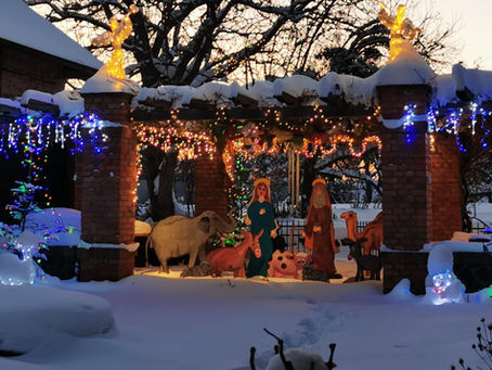 Krizová linka, provoz přes Vánoce