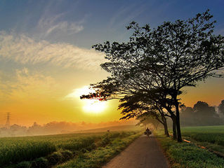 Penikmat Pagi