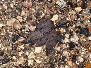 Lessons from Mother Nature