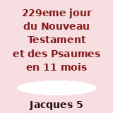 229ème jour