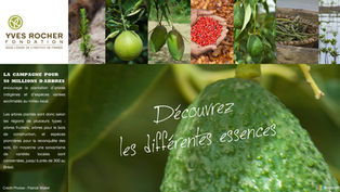 Planches Avant-Projet - planche de l'application interactive Plant for life de Yves Rocher