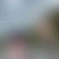 Une personne qui montre Gwin Zegal à Plouha depuis le haut de la falaise