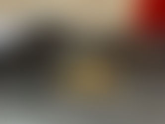 Can you explain the basis of your apathy?