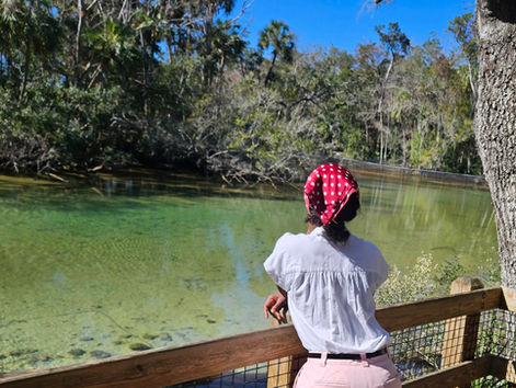 Local Places to Visit Citrus County: Homosassa Wildlife State Park