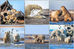 Kaktovik, Polar Bears and the Arctic Circle Wildlife Photography