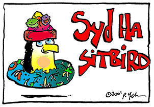 Syd Ha Sitbird