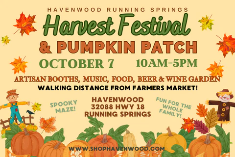HarvestFestival_PumpkinPatch-4_480x480.webp