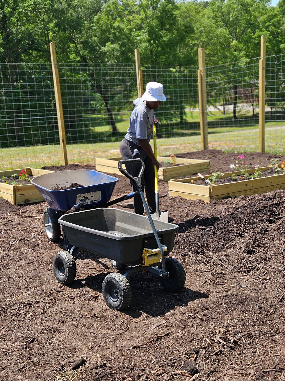 Volunteer Days at the GROW Farm